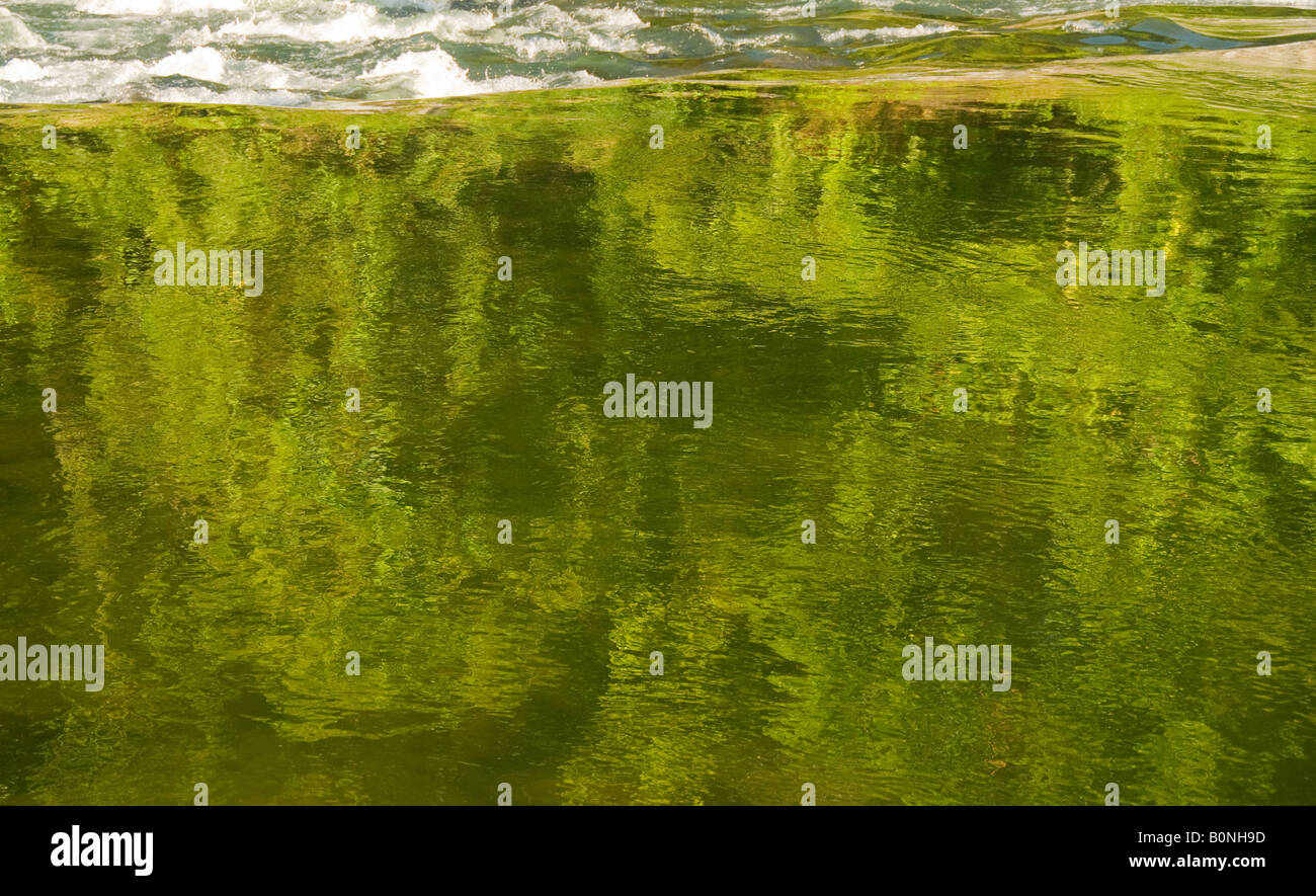 COSTA RICA Green Rainforest reflections on the lower Pacuare River Caribbean Slope Stock Photo