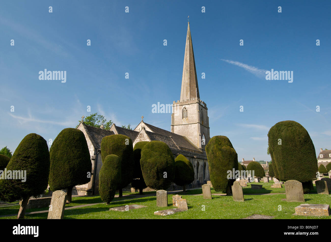 Yew trees in St Mary's church at Painswick in the Cotswolds Stock Photo