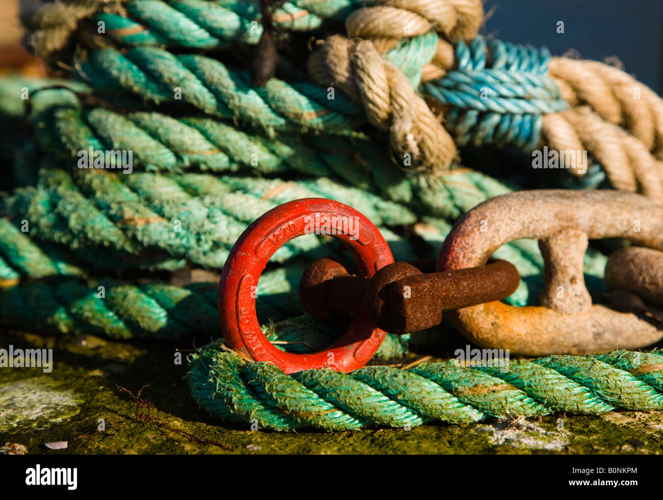 rope with chain link and eye used by fishing boats, Dunure, Ayrshire, Scotland Stock Photo