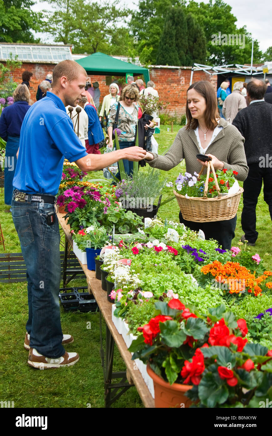 Charity stall plants hires stock photography and images Alamy