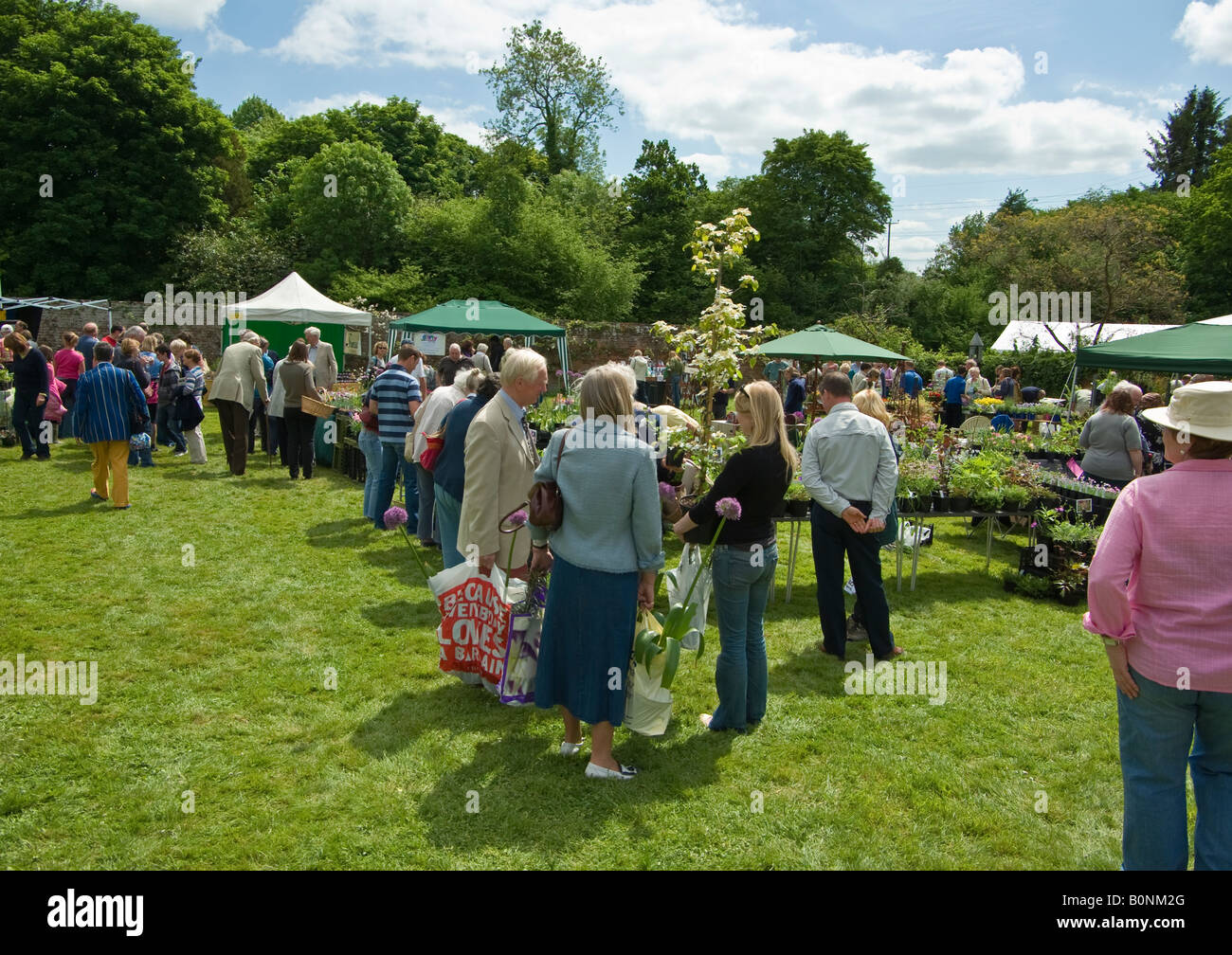 Open air garden charity fundraising plant fair with people shopping