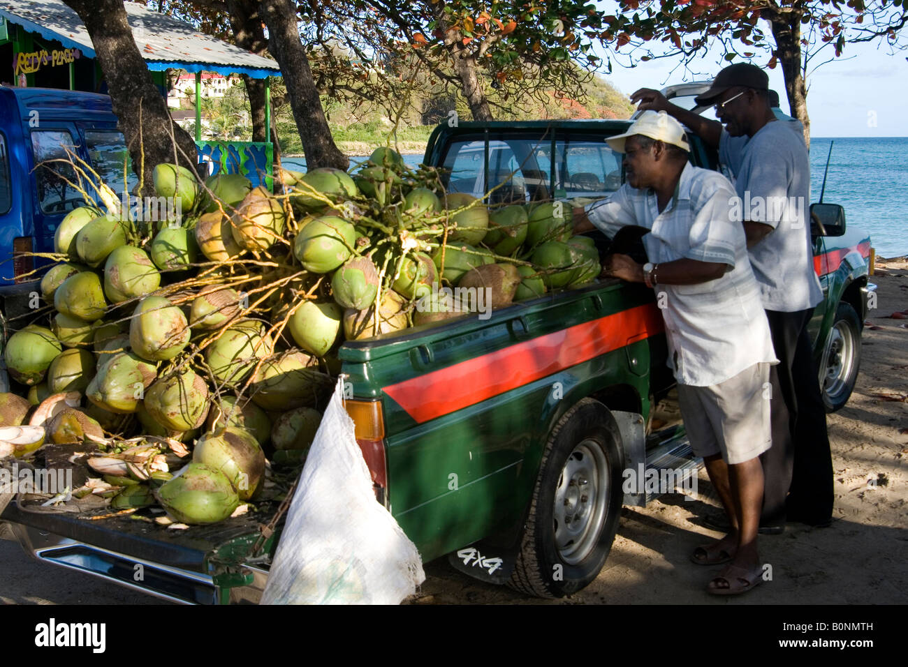 Fresh young coconuts for sale from a pick up truck for coconut jelly