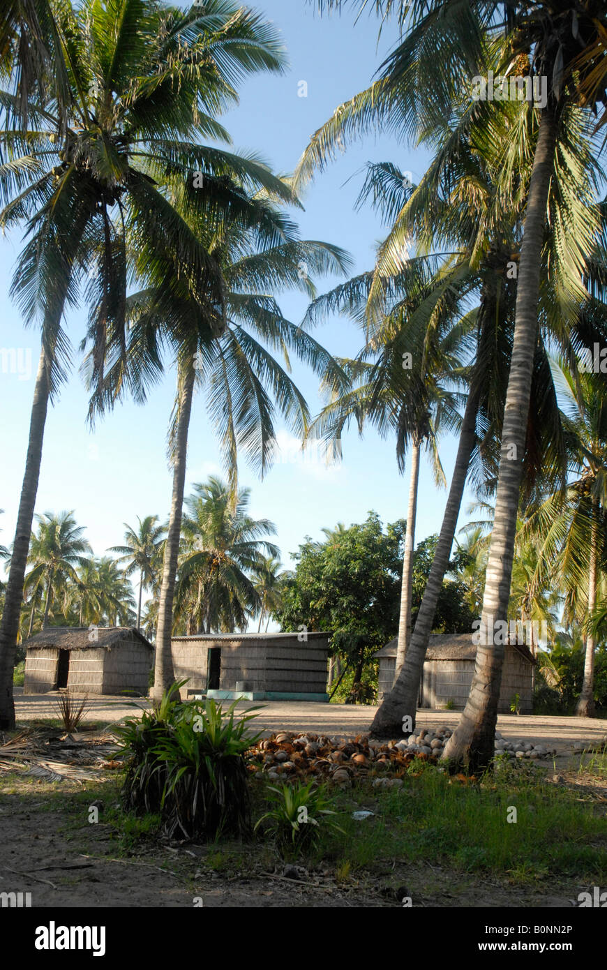 Coconut huts hires stock photography and images Alamy