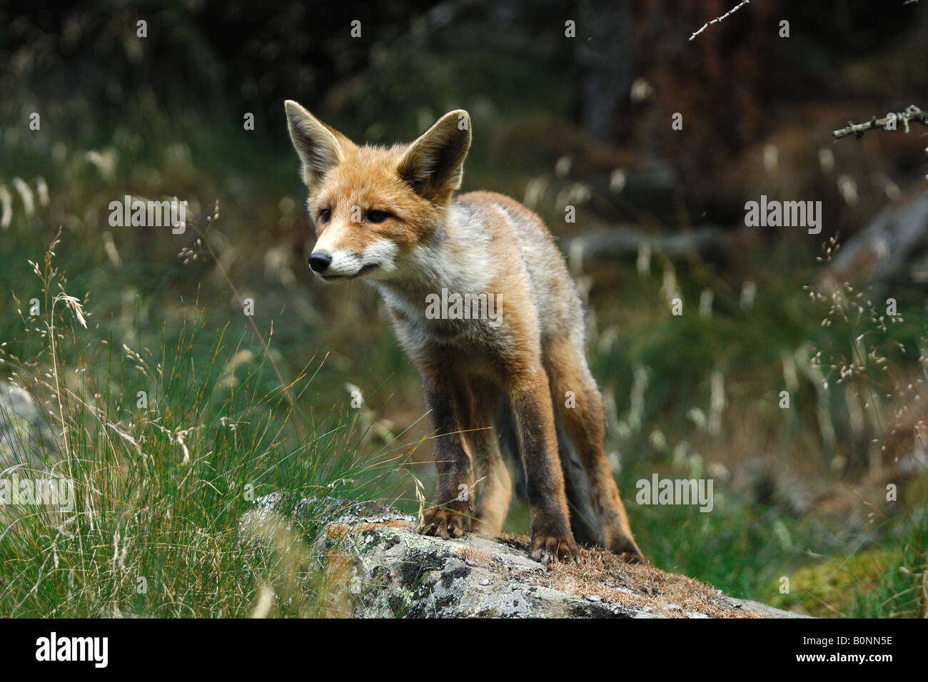 Valle nevicata hi-res stock photography and images - Alamy