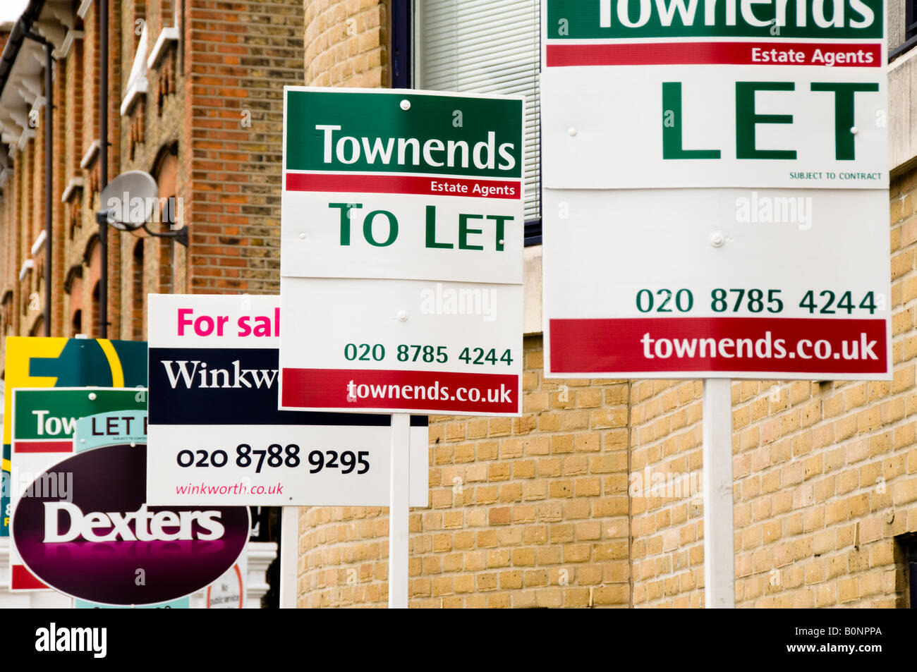 To Let Signs of various Estate Agents Stock Photo