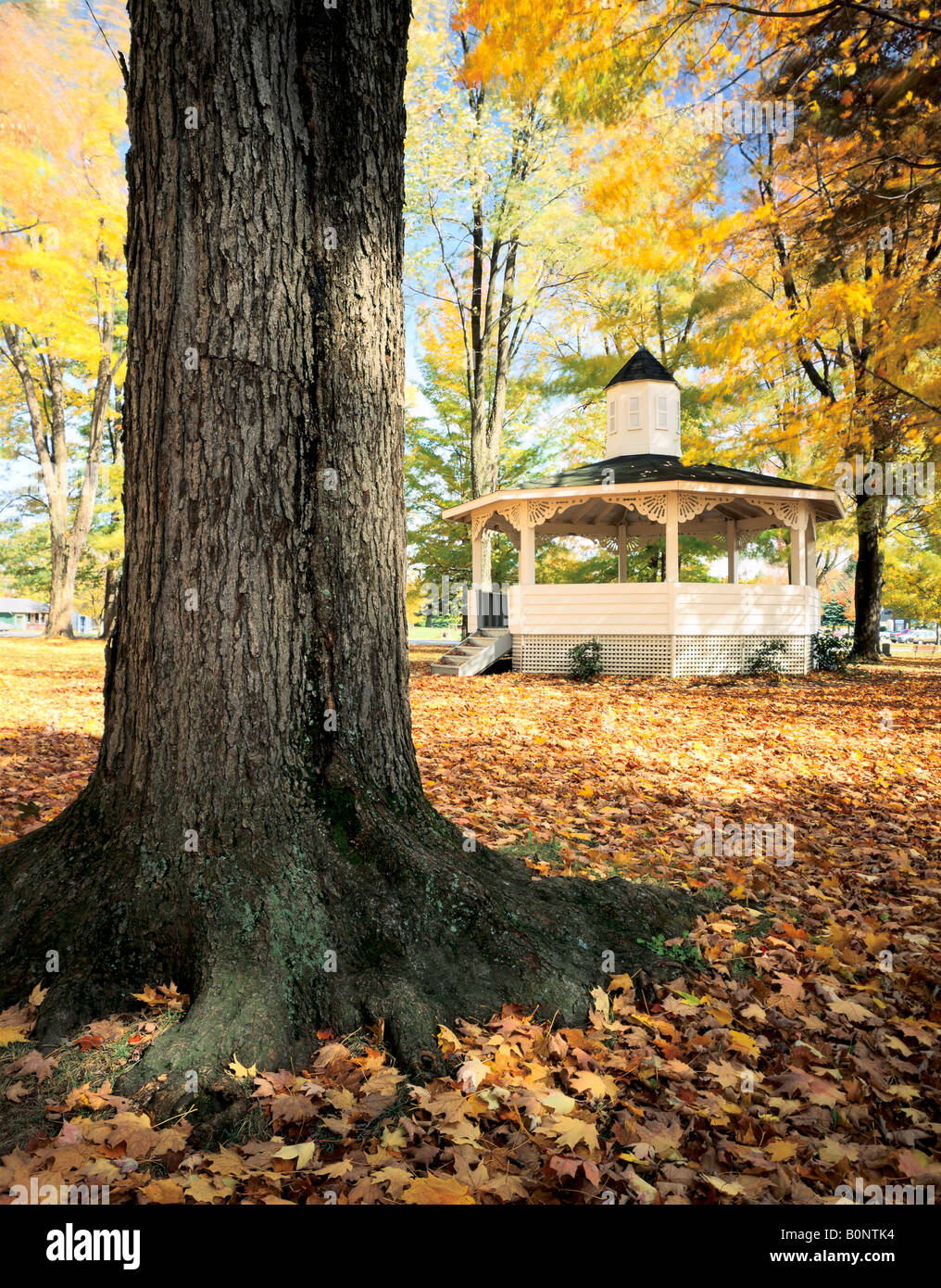 AUTUMN COLORS, GAZEBO & MAPLE TREE IN HISTORIC TOWN OF WATERFORD ...