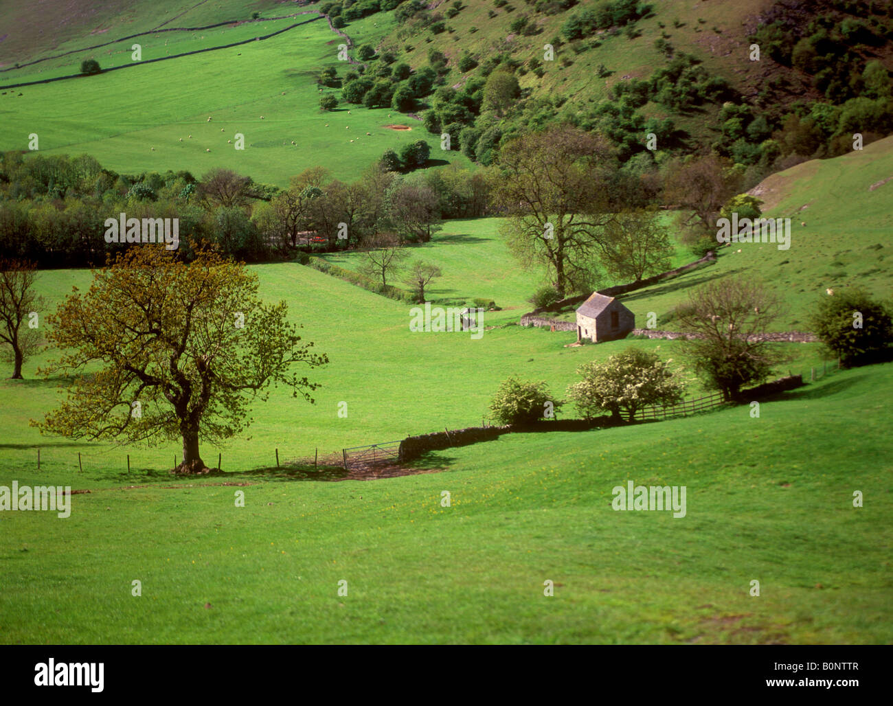 Dovedale scenery near village of Thorpe in the Peak District Stock