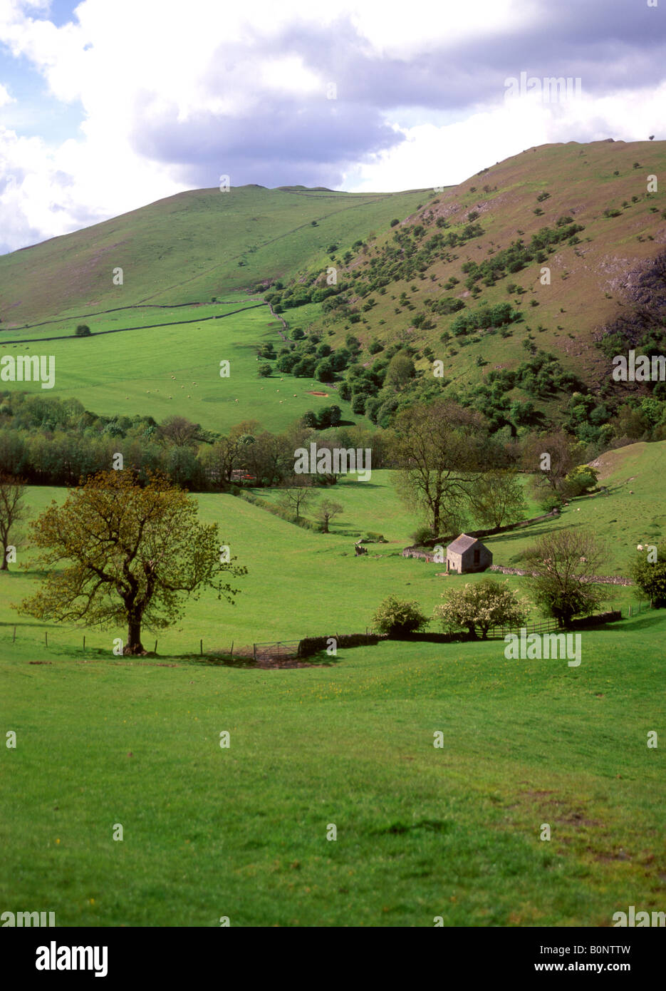 Dovedale scenery near village of Thorpe Stock Photo Alamy
