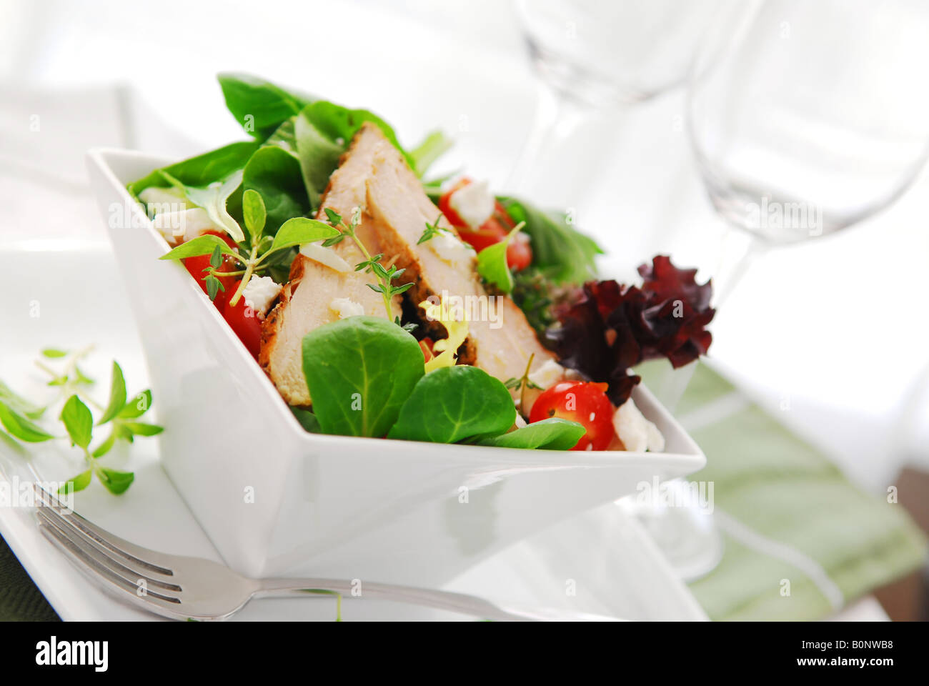Fresh green salad with grilled chicken herbs and tomatoes Stock Photo