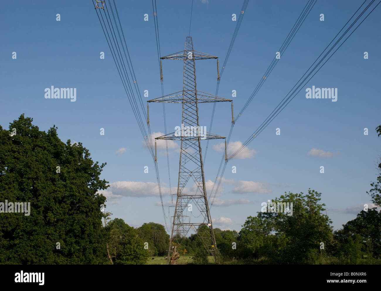 View of Pylon and power lines through countryside Stock Photo - Alamy