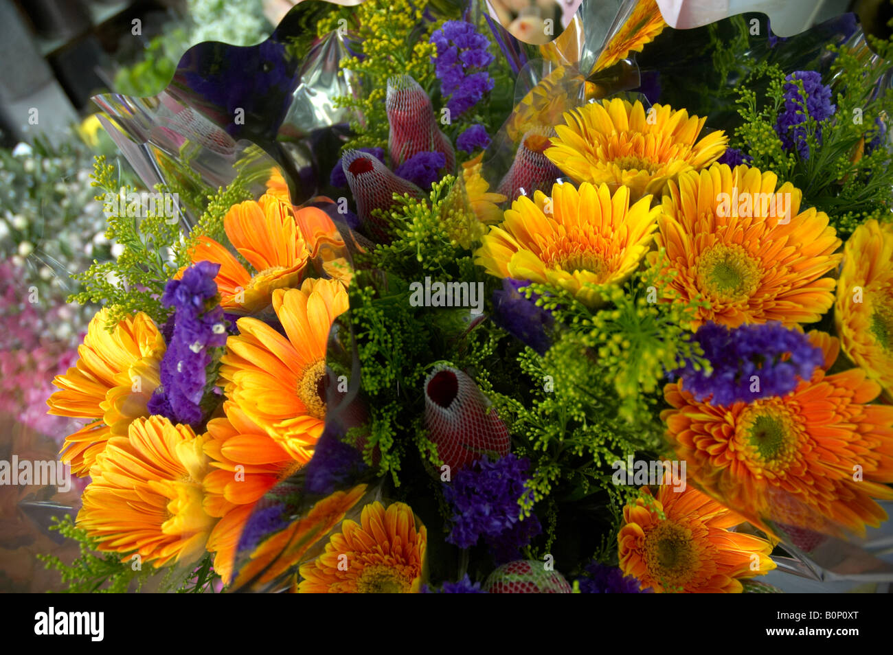 Colourful Flowers, Hong Kong Flower Market, Hong Kong, China Stock