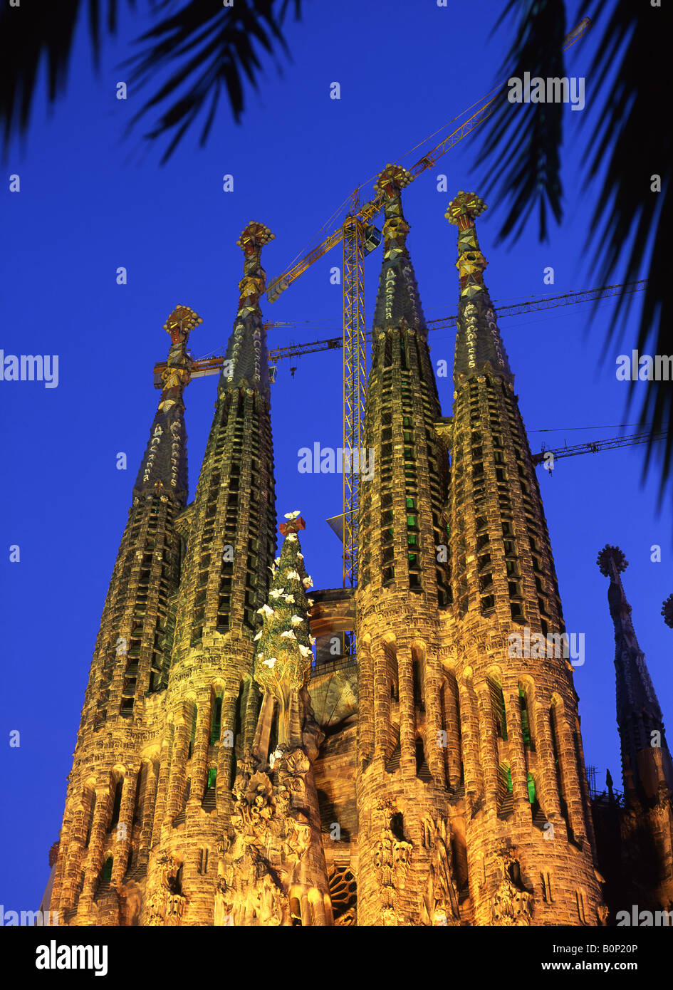 Antoni Gaudi's Sagrada Familia Basilica at night Barcelona Catalonia Spain Stock Photo