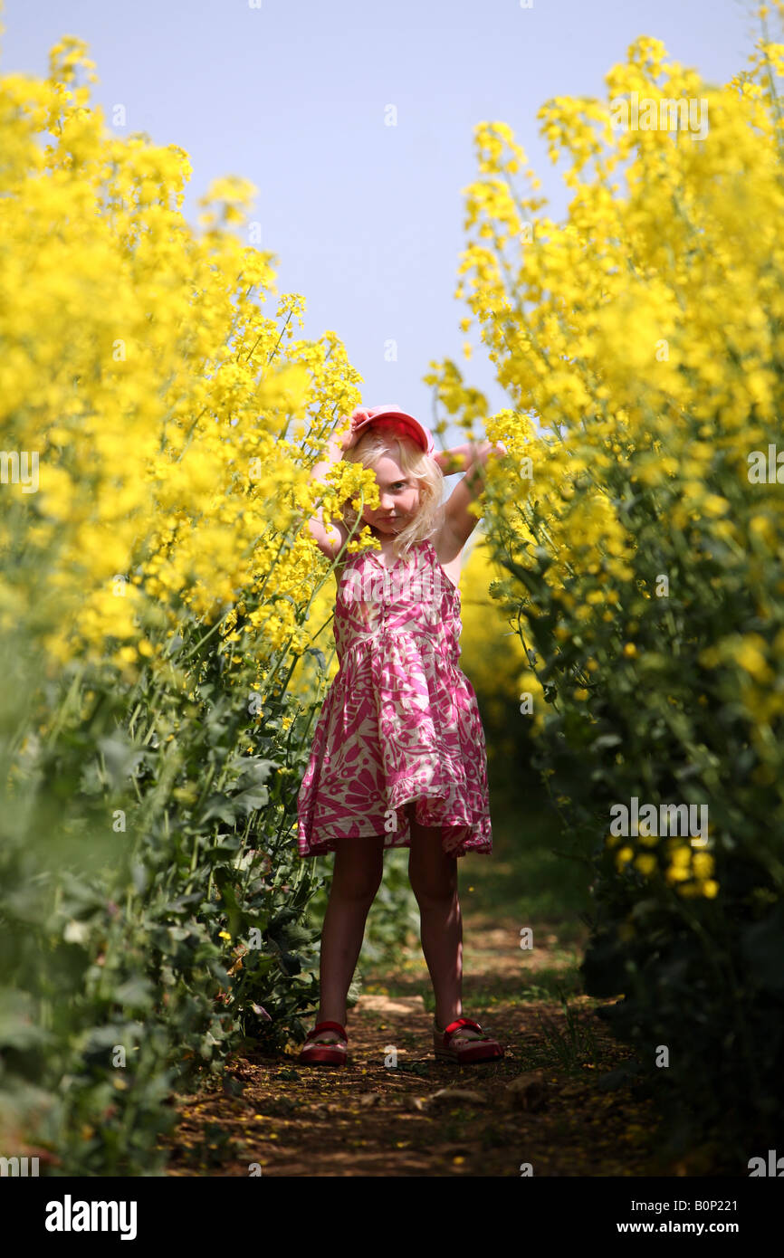 Blonde little Girl standing in a field of rapeseed Stock Photo - Alamy
