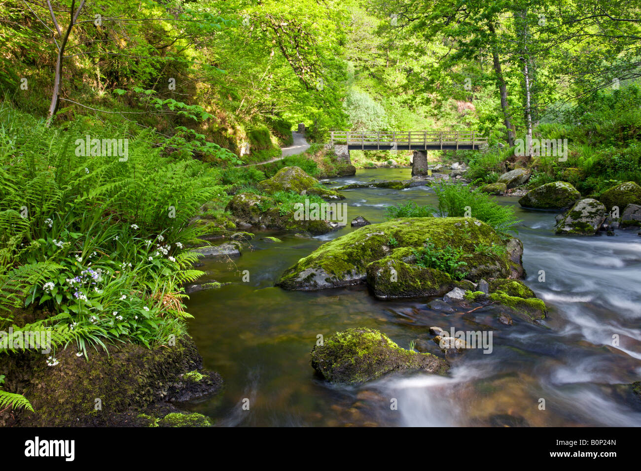 Spring at Watersmeet in Exmoor National Park Devon England Stock Photo Alamy Spring at Watersmeet in Exmoor National Park Devon England Stock Photo Alamy