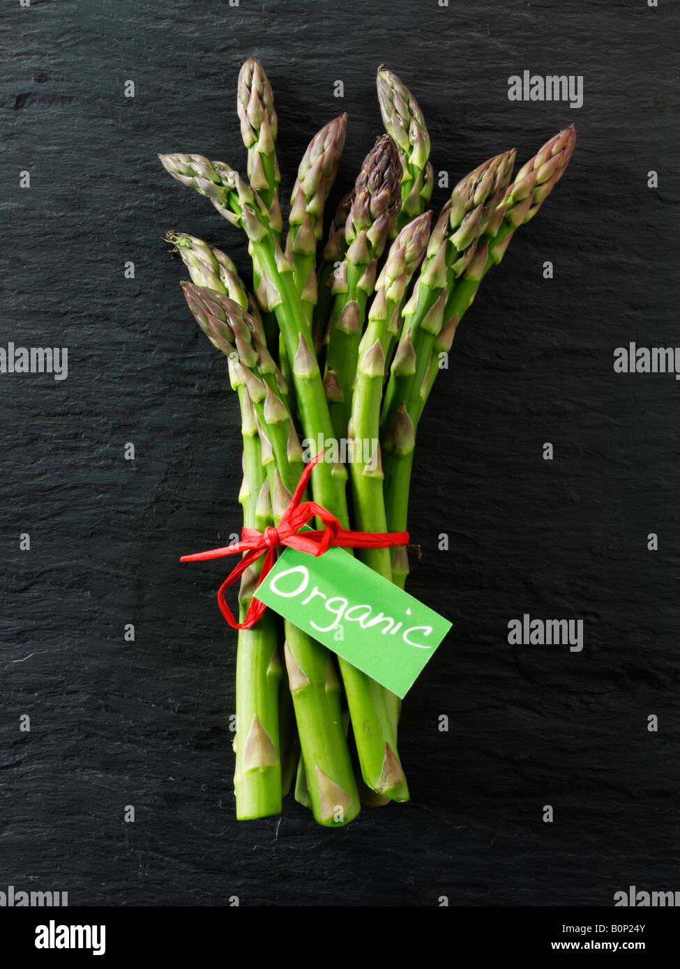 Fresh bunch of organic asparagus Stock Photo