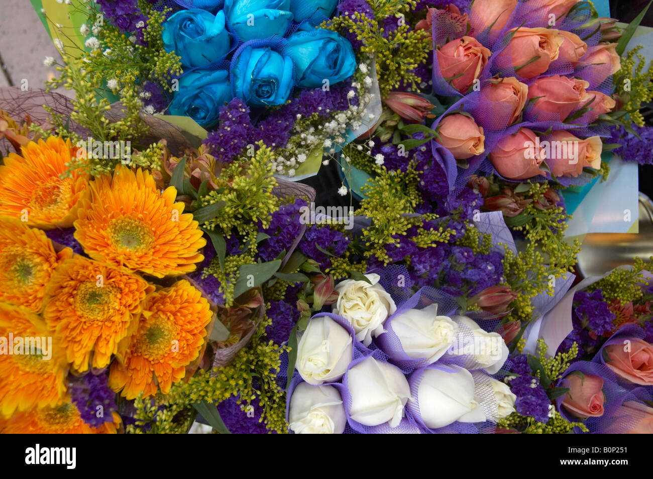 Colourful Flowers, Hong Kong Flower Market, Hong Kong, China Stock