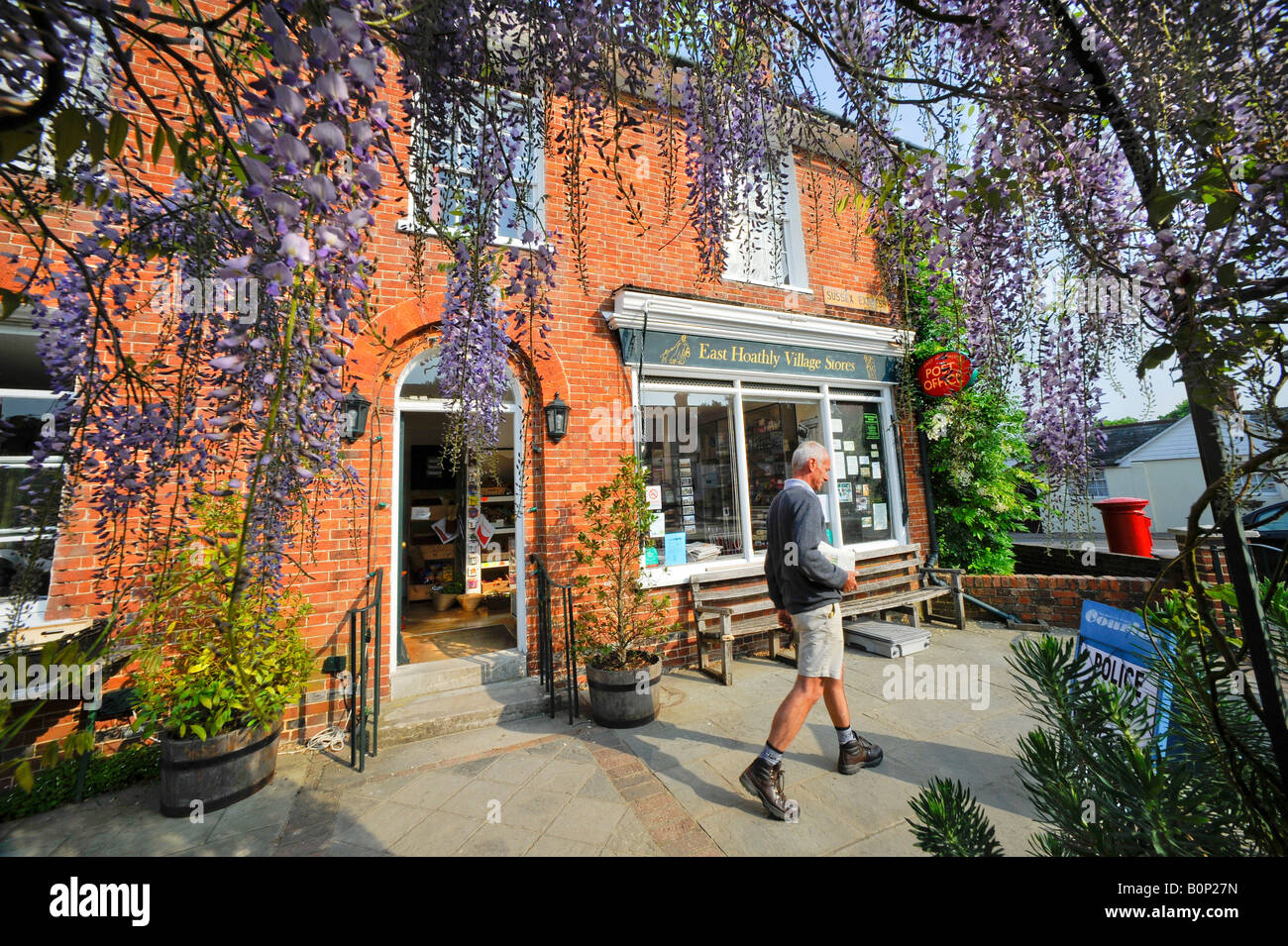 Wisteria frames the entrance to the East Hoathly village stores and