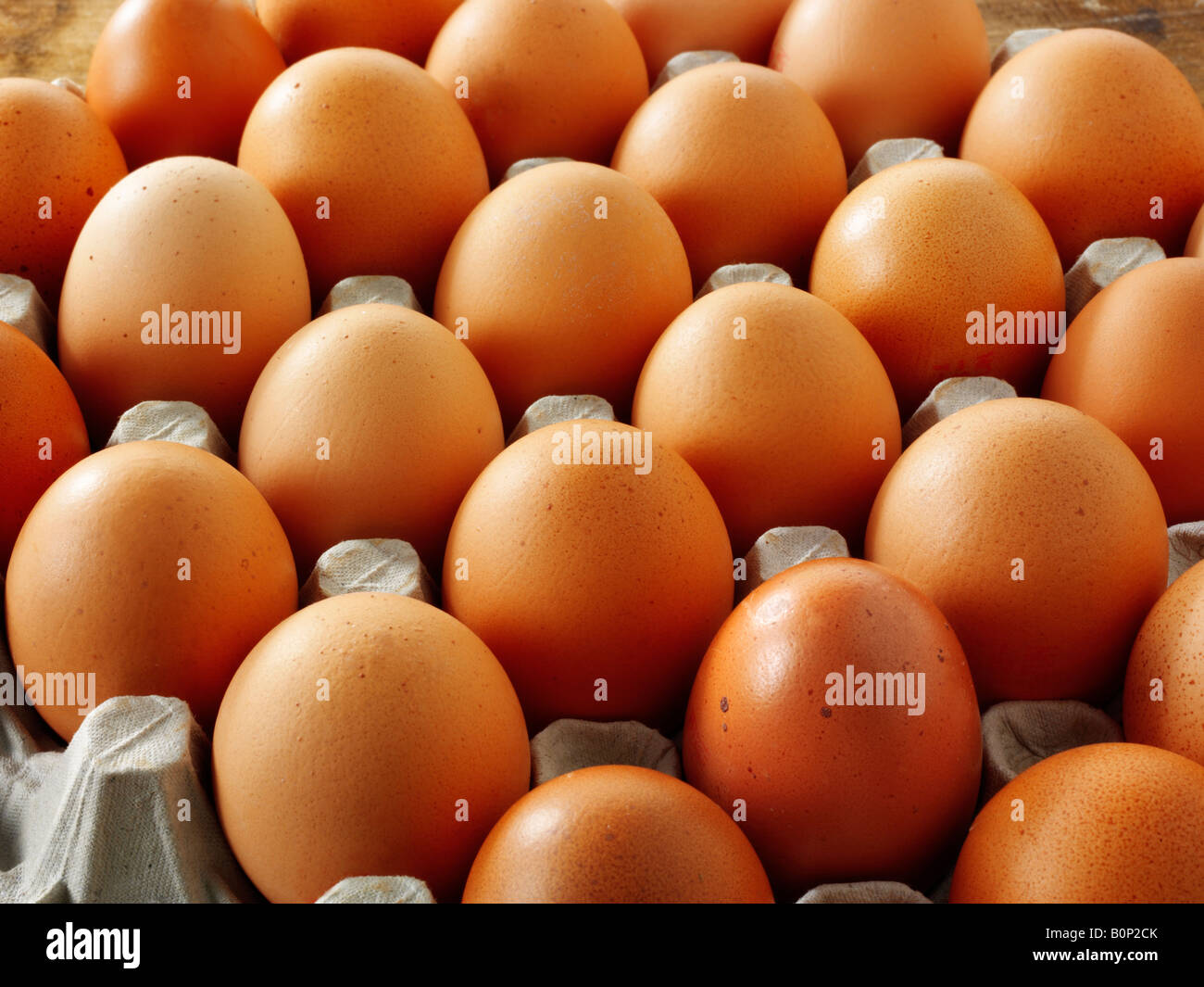 A tray of organic free range fresh brown chicken eggs Stock Photo