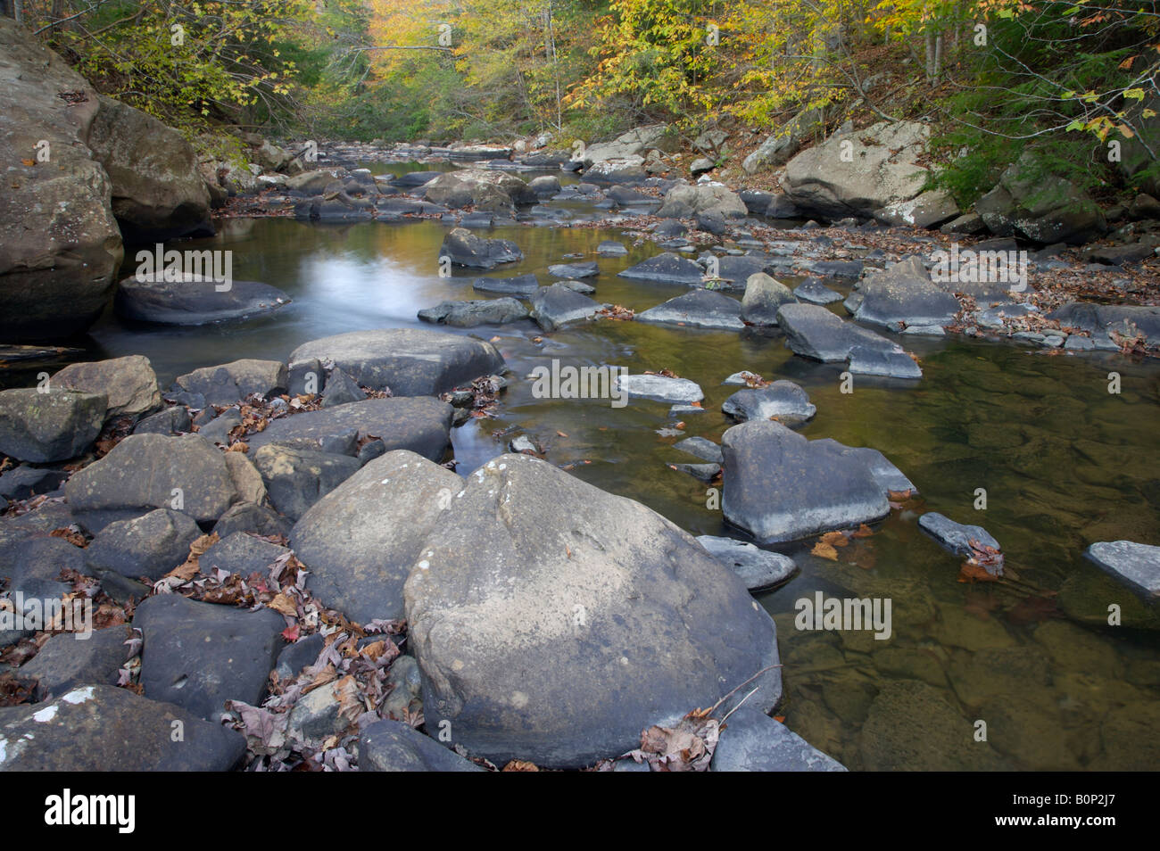 Stream with large stones leaves and reflections Stock Photo - Alamy