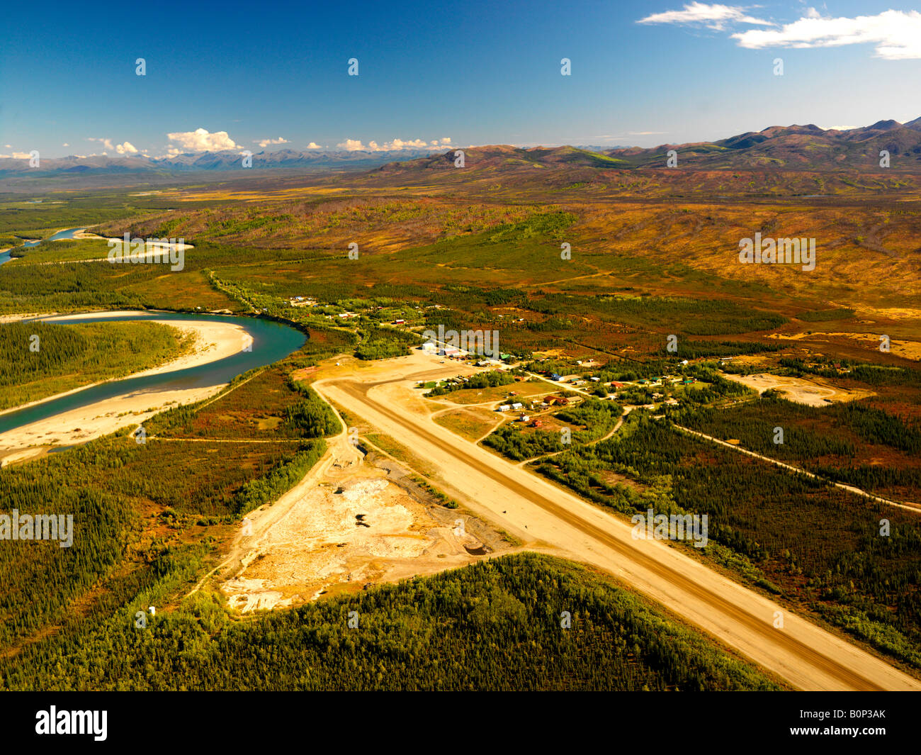 Bettles hires stock photography and images Alamy