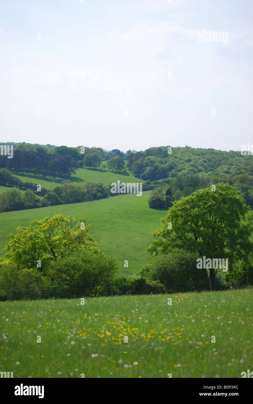 The Chiltern Hills, Maidensgrove, Oxfordshire, England, United Kingdom