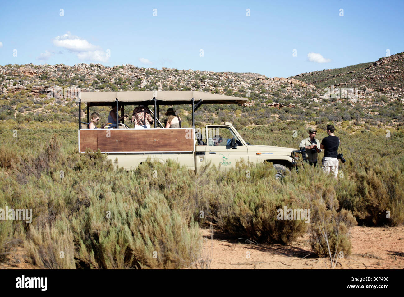 Aquila private game reserve south africa, near cape town Stock Photo