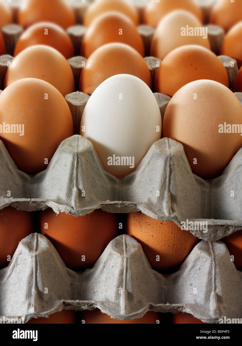 Eggs trays hi-res stock photography and images - Alamy