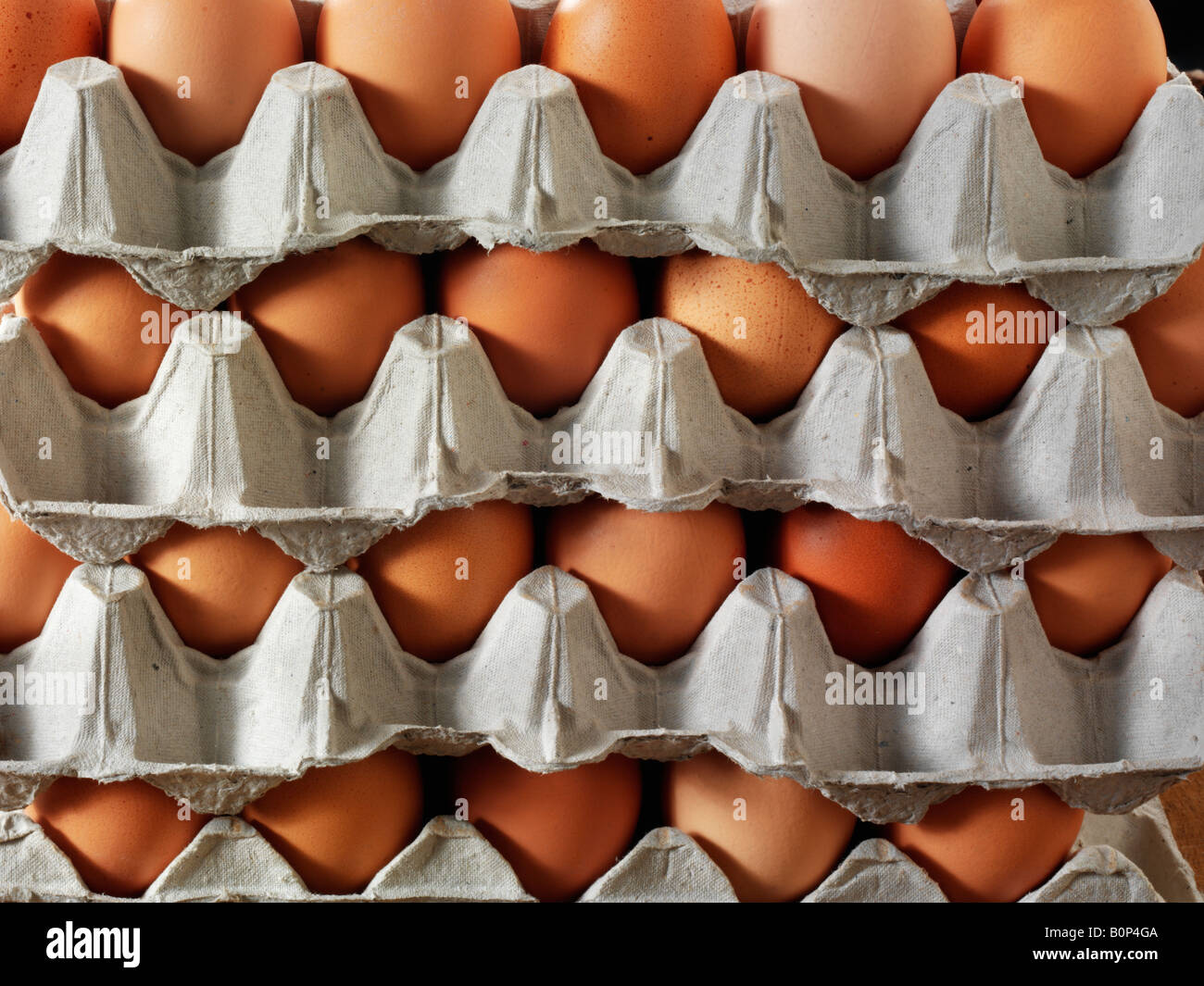 Close up of a stack egg trays stacked on top of each other Stock Photo