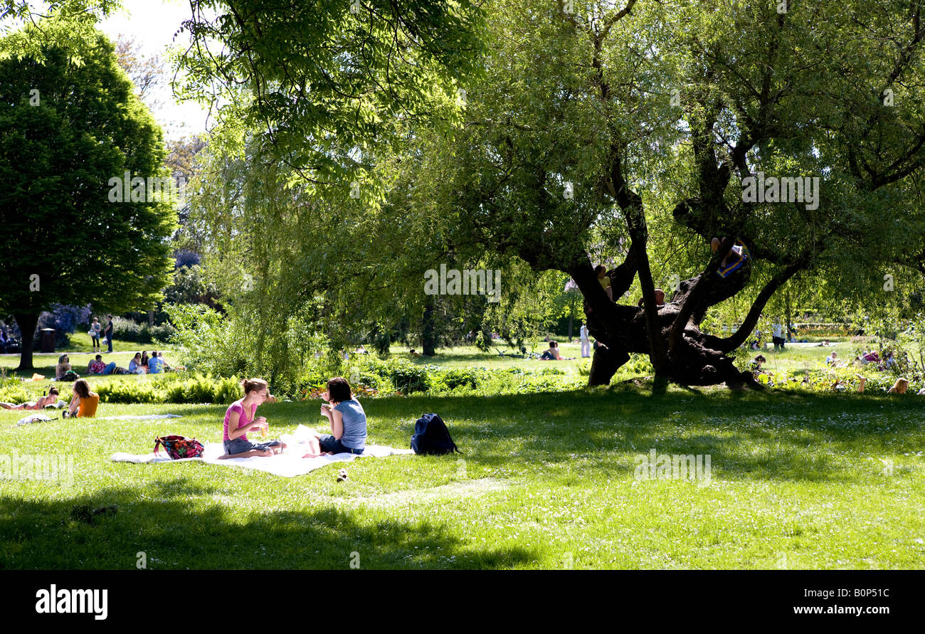 People  Having Picnic In Regents Park London Uk Europe Stock Photo