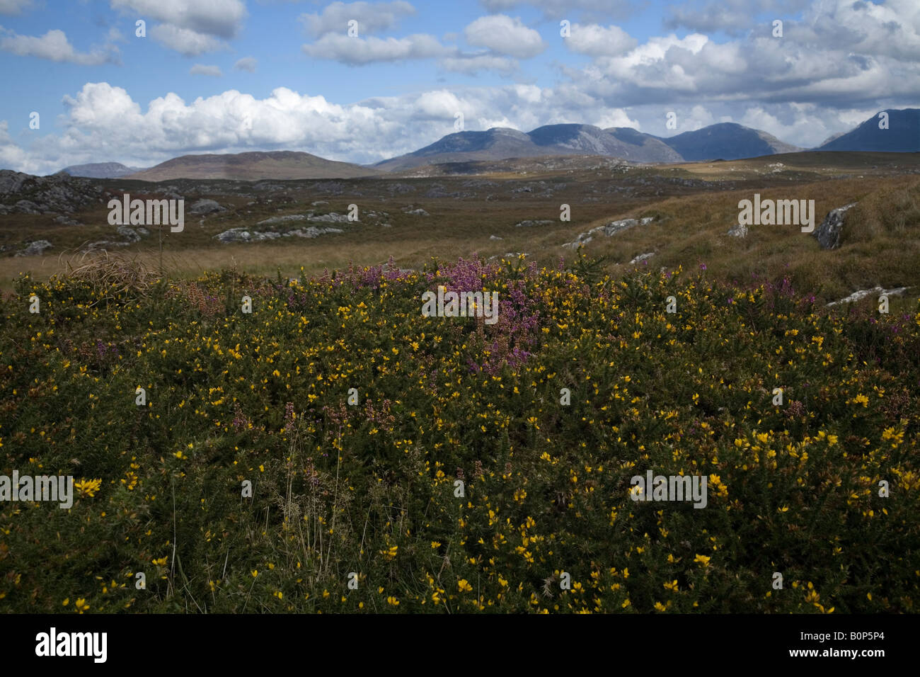 Photo of the bogs of Ireland in Connemara Stock Photo
