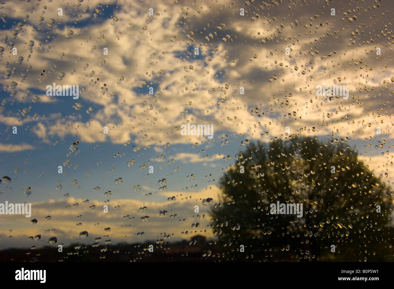 window with rain drops reflecting a landscape of clouds and tree Stock Photo