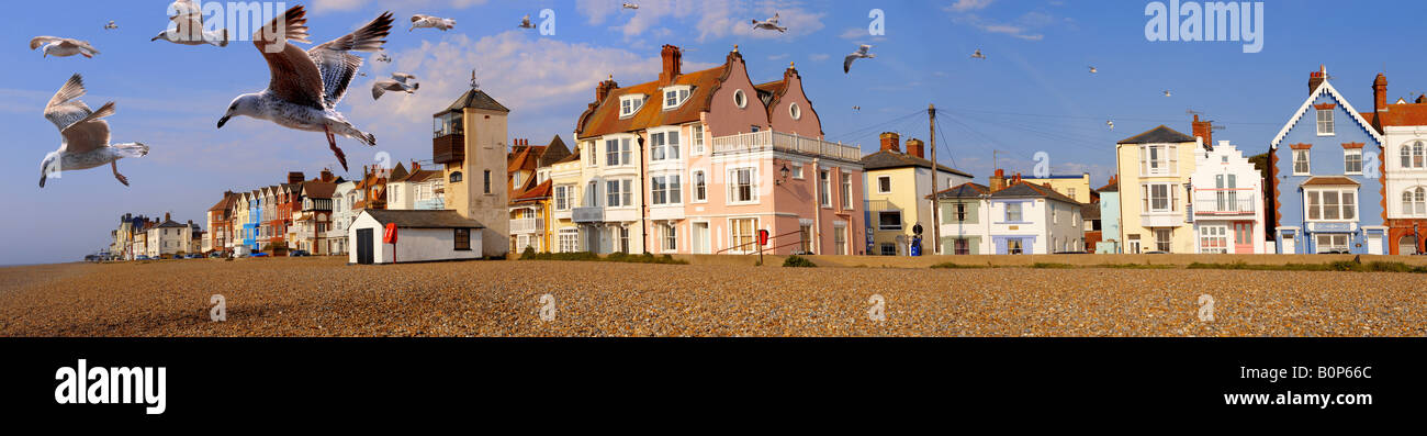 Panoramic view of the houses on the sea front and the shingle beach, with sea gulls,  at Aldeburgh Suffolk Stock Photo