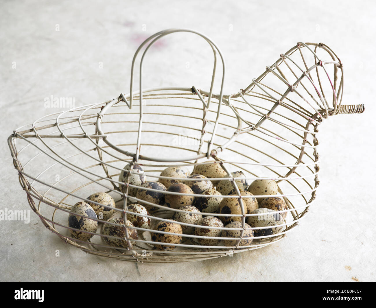 quail eggs in a wire chicken basket Stock Photo Alamy