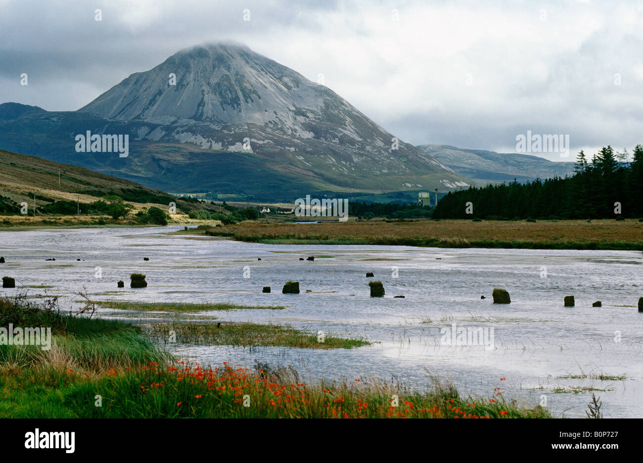 Dore inlet hi-res stock photography and images - Alamy