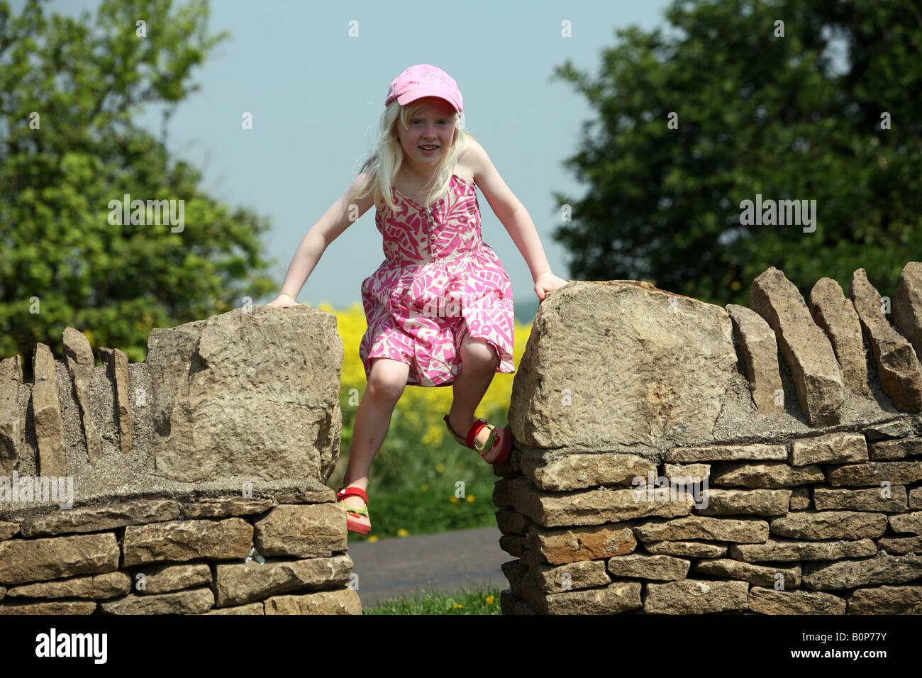 Blonde little girl standing on a dry stone wall with rapeseed in ...