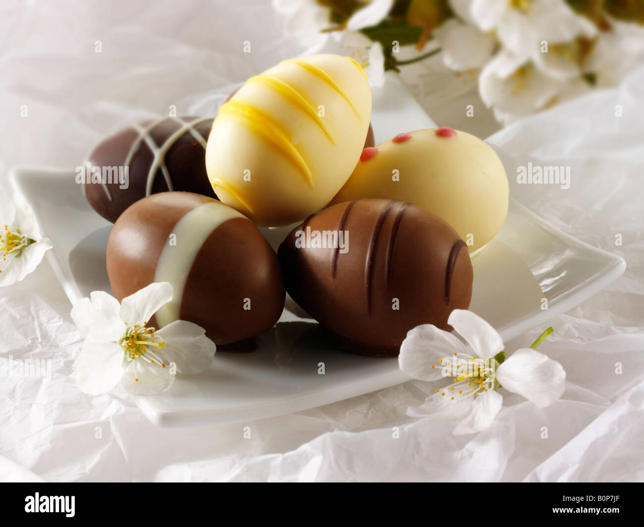 Studio food photo of Mini Chocolate decorated Easter eggs with cherry blossoms Stock Photo