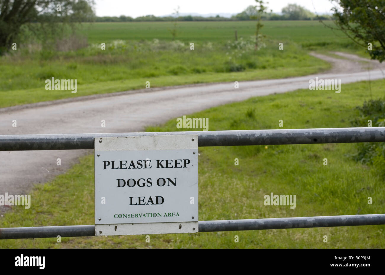 please keep dogs on leads sign Stock Photo