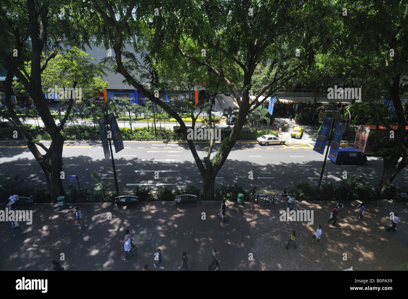 Raintree shaded pedestrian walkway on Orchard Road Singapore Stock