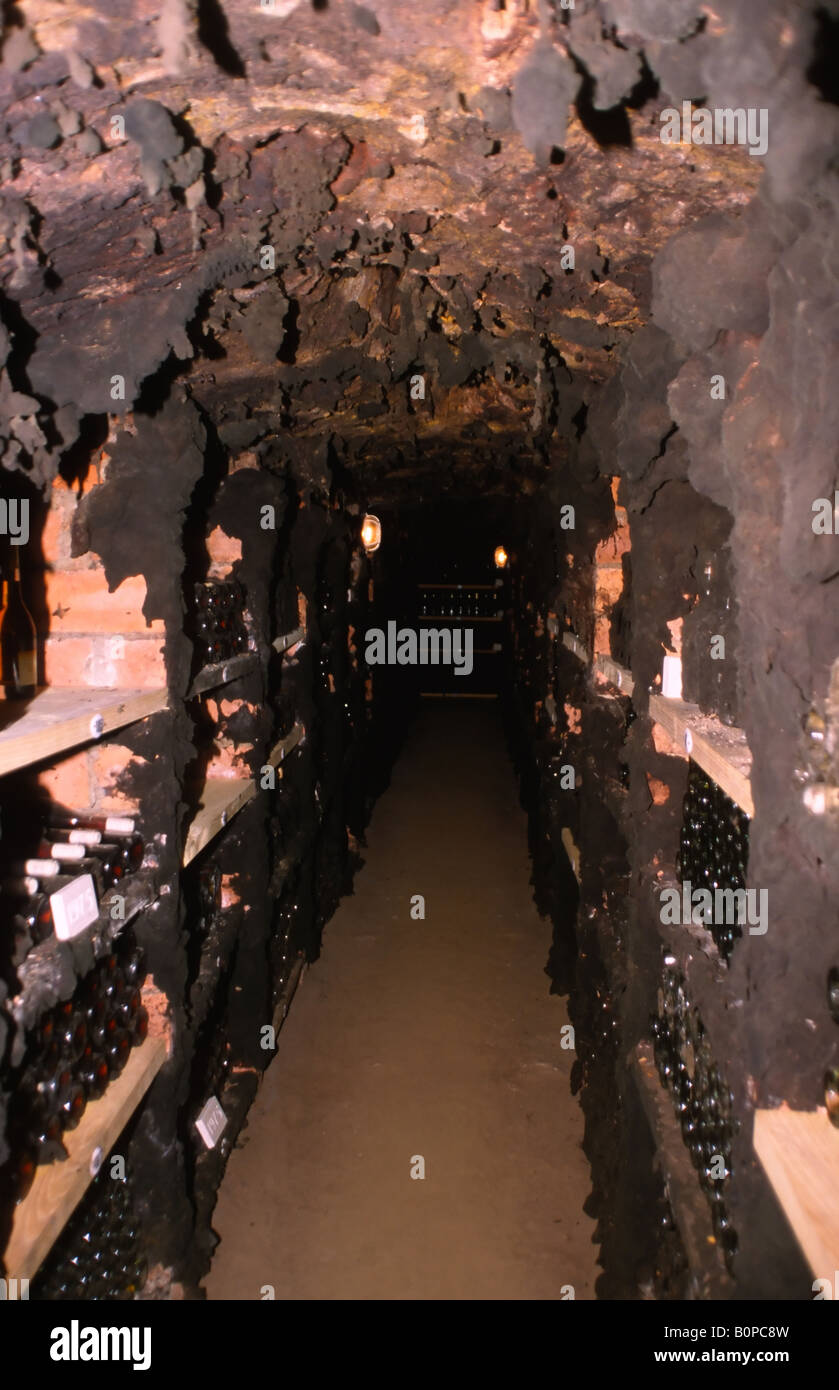 Bottles with tokaji wine in the ancient mould covered cellars of Tokaj