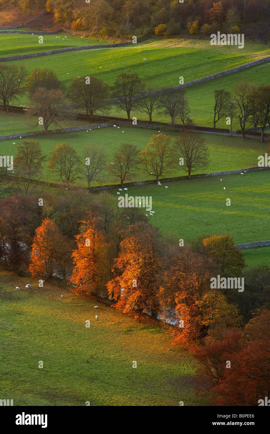 autumn colours at Arncliffe, Littondale, Yorkshire Dales National Park, England, UK Stock Photo