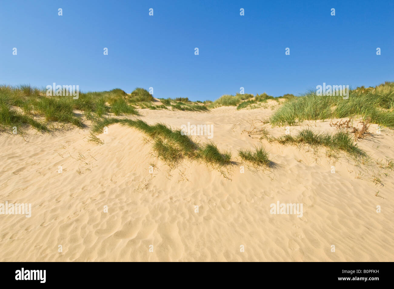 A wide angle view of the sand dunes on the beach at Camber Sands Stock ...