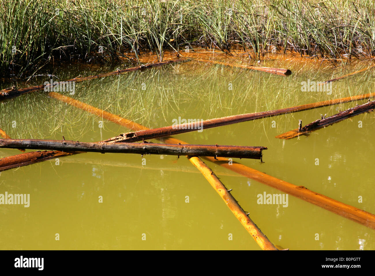 Paint Pots, Kootenay National Park, British Columbia, Canada Stock