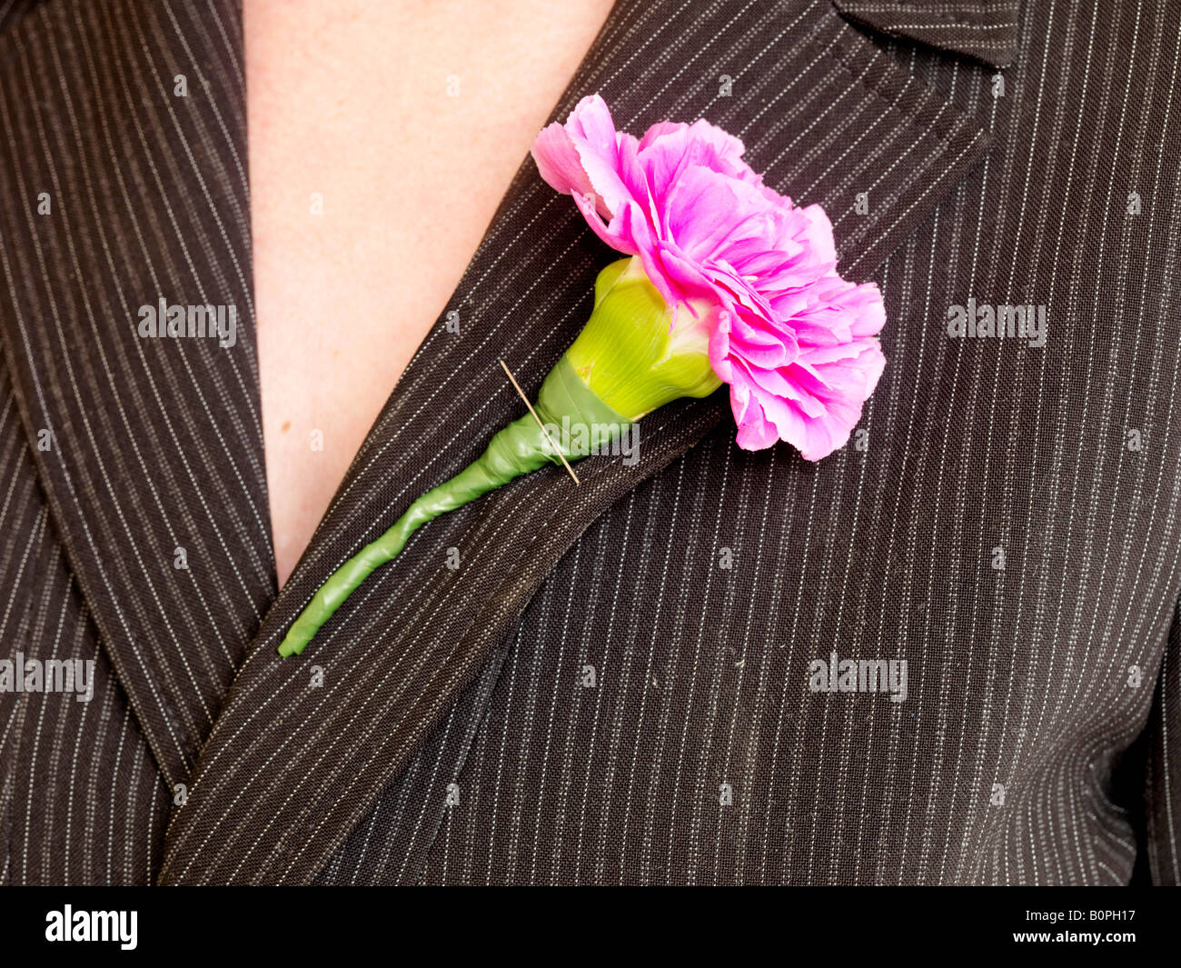Pink Carnation Buttonhole Stock Photo Alamy