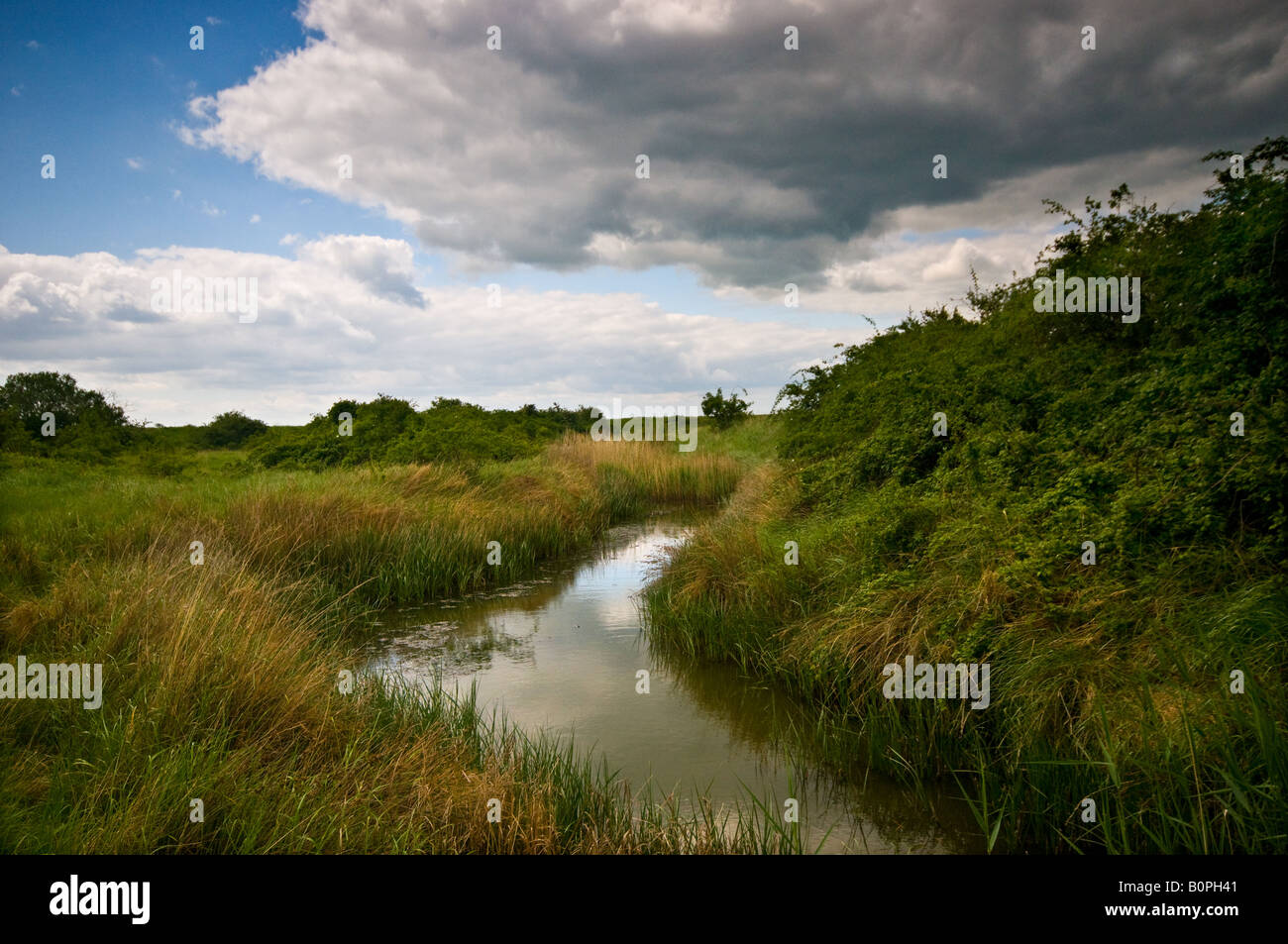 A slow running stream in Essex countryside. Stock Photo