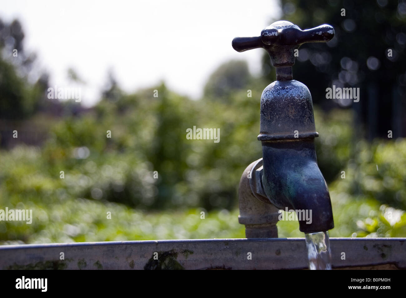 A running tap on an outdoor water container Stock Photo Alamy