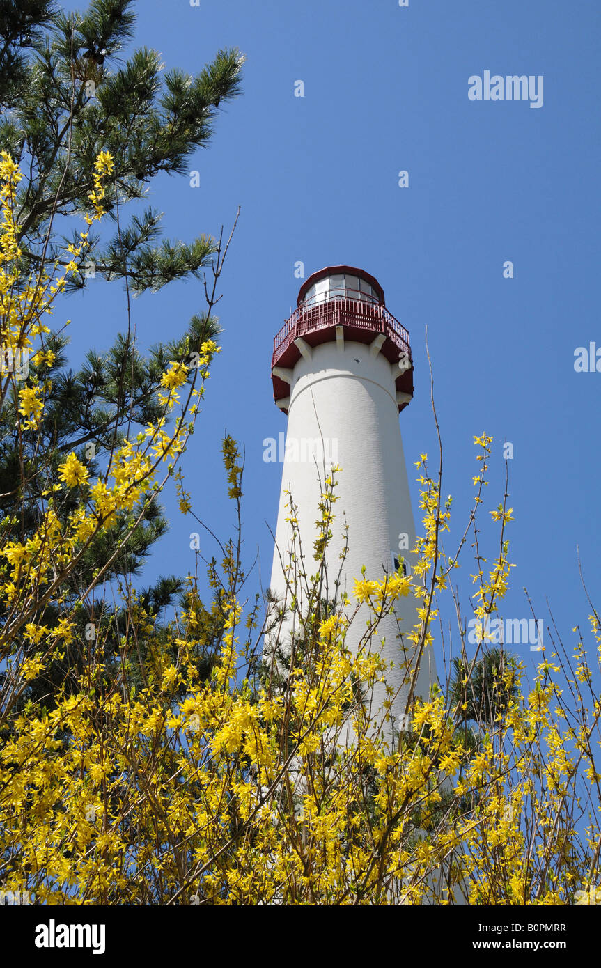 Cape May Light House, Cape May, New Jersey, USA Stock Photo Alamy