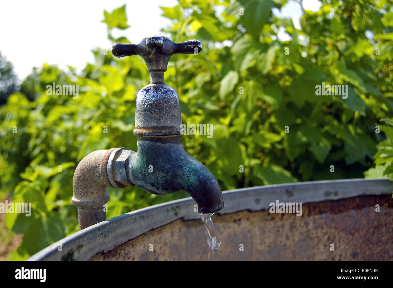 A running tap on an outdoor water container Stock Photo Alamy