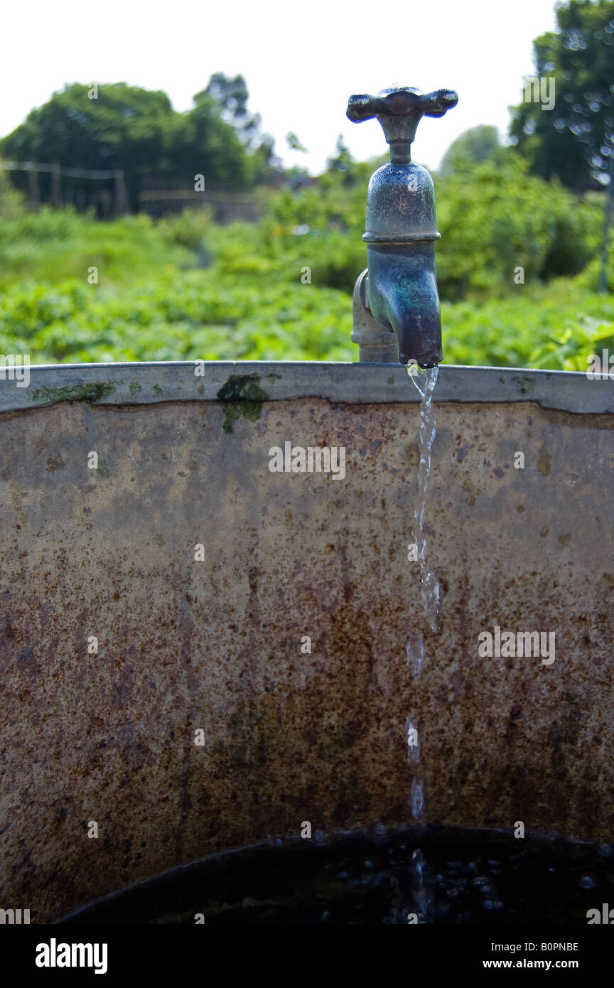 A running tap on an outdoor water container Stock Photo Alamy