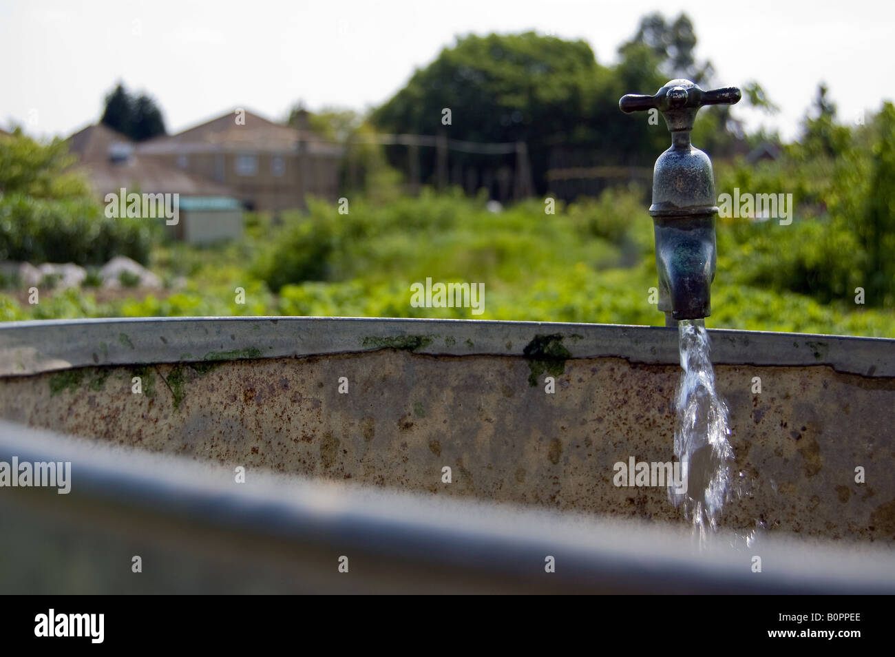 A running tap on an outdoor water container Stock Photo Alamy