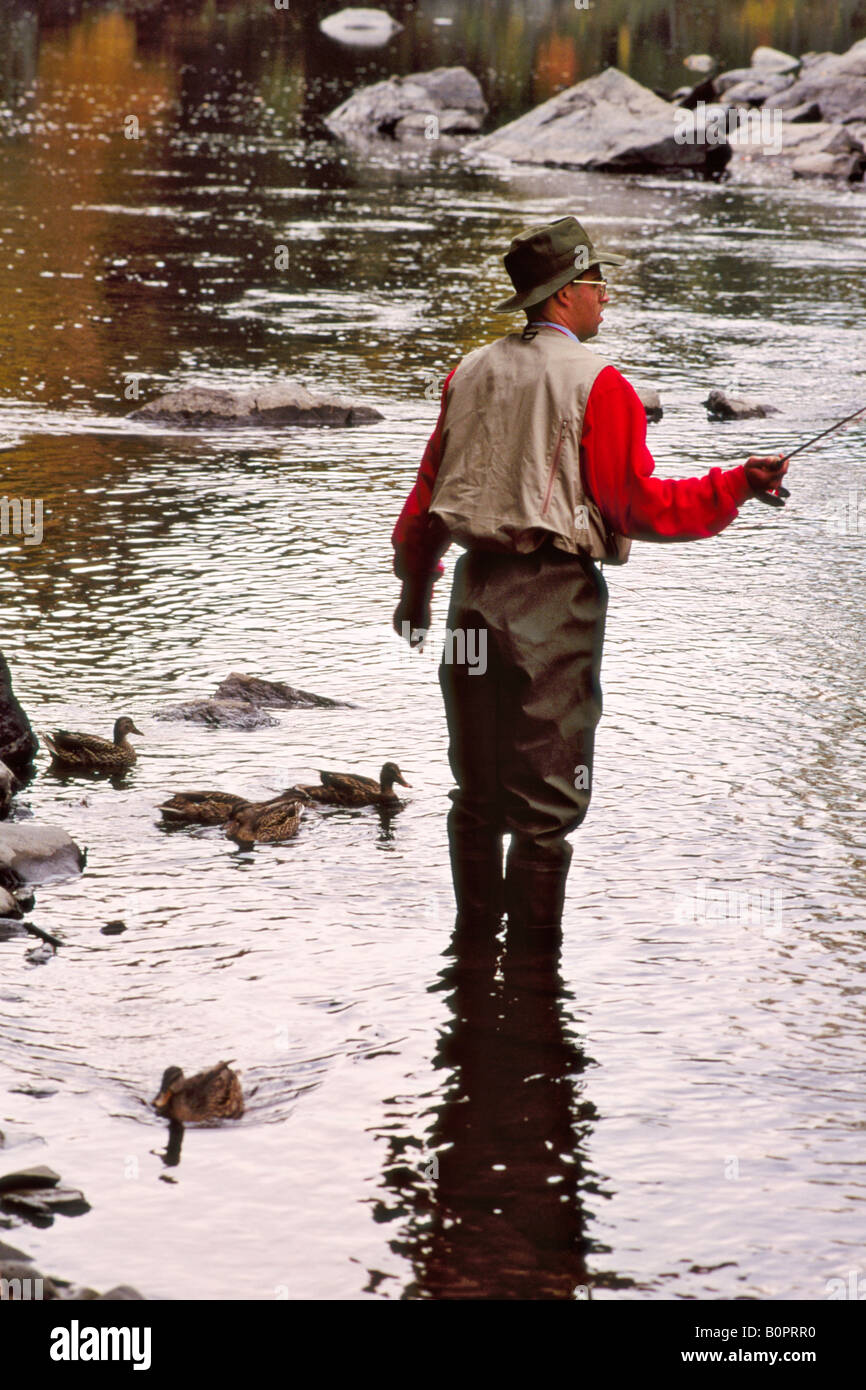 Fly fishing in Maine Stock Photo Alamy
